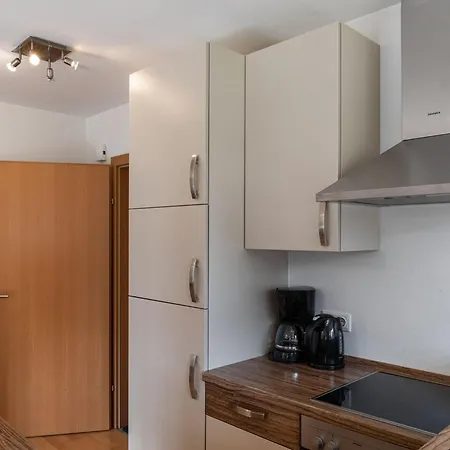 Close To Skiing Apartment *